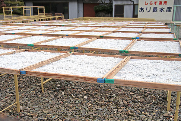 あり長水産 しらす天日干し