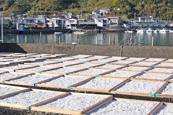 あり長水産 海