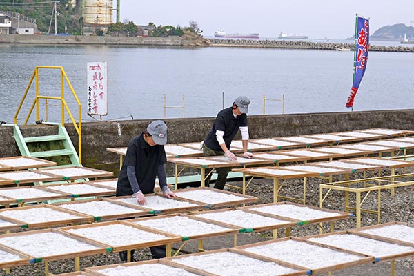 あり長水産 天日干しの様子