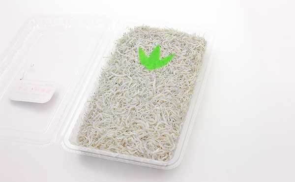 釜あげしらす