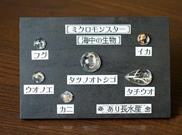 海の生き物「ミクロモンスター探し」ミニ標本